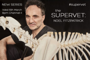 The Supervet Professor Noel Fitzpatrick